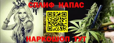 прущие крисы Дубна