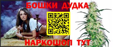 прущие крисы Дубна
