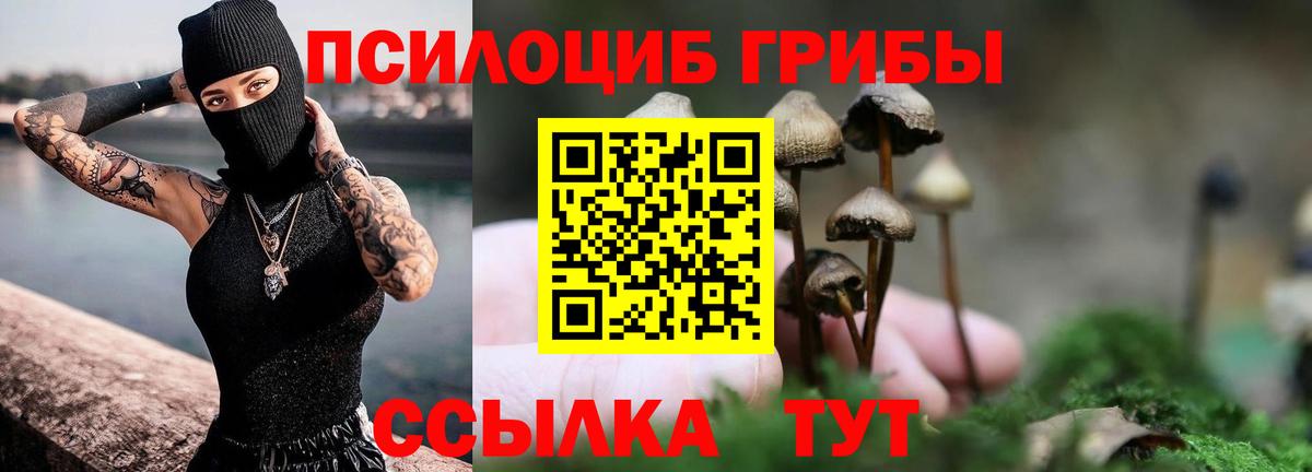 Галлюциногенные грибы прущие грибы Буйнакск
